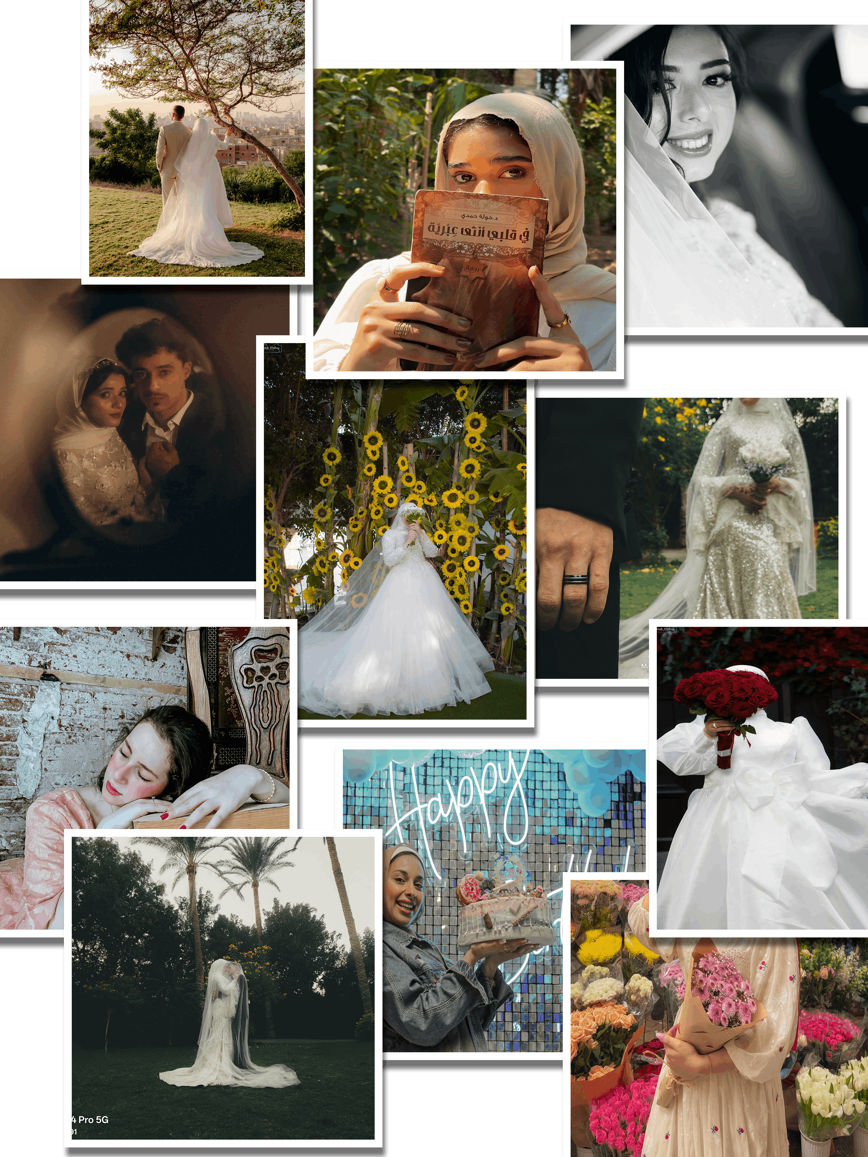 تصوير احترافي